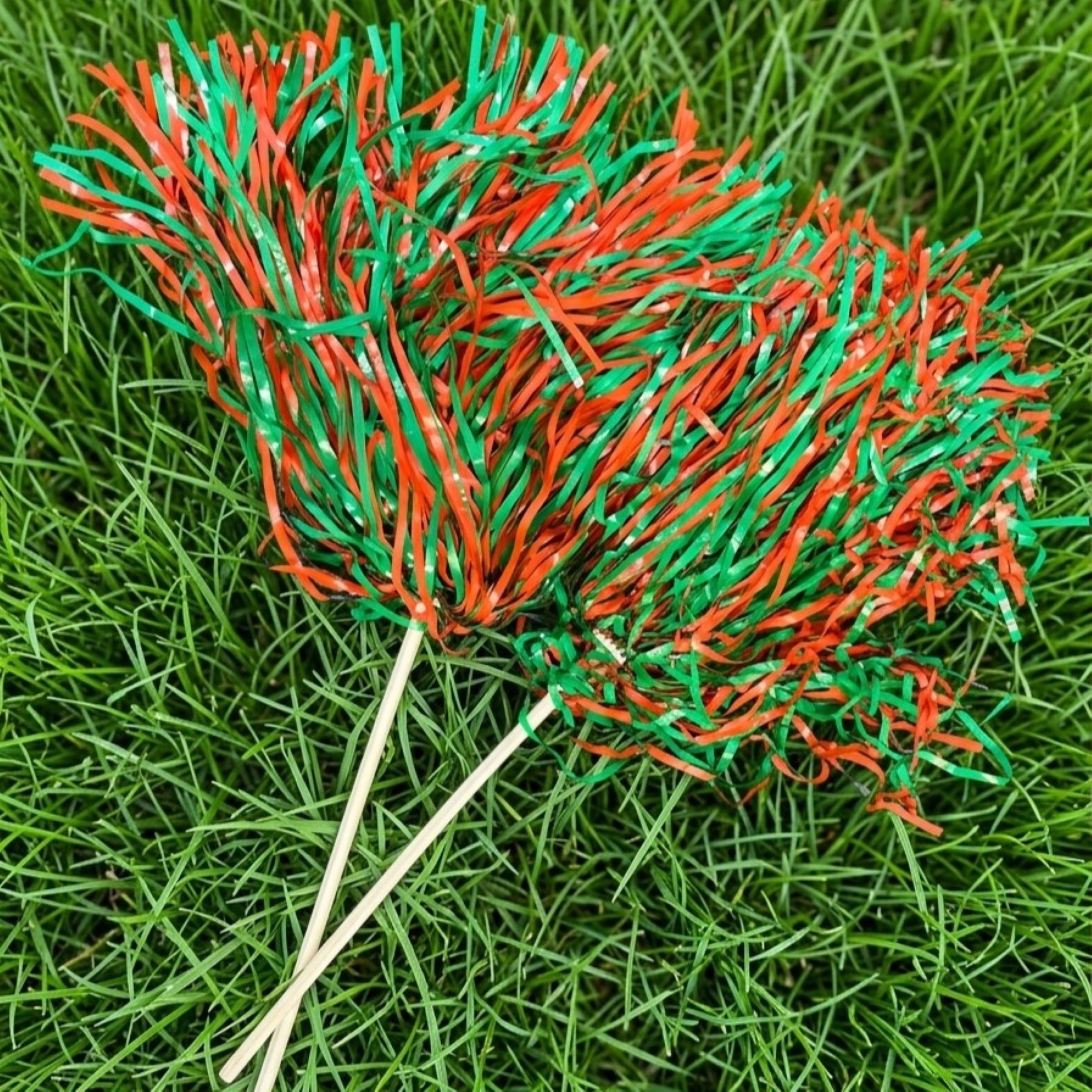 Orange and Green Game Day Pom Poms