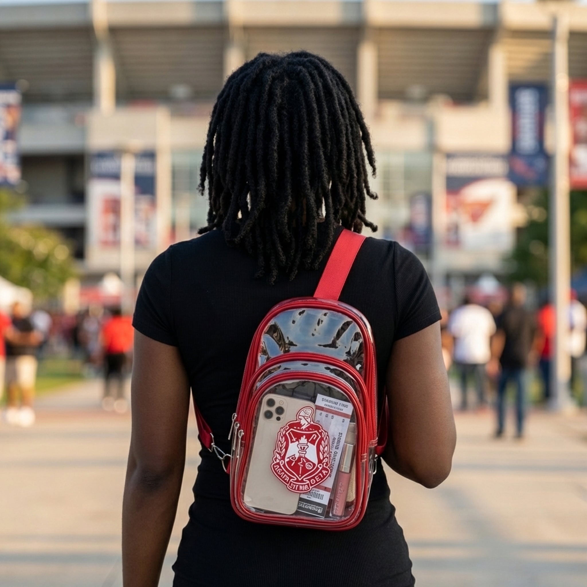 Delta Sigma Theta Clear Stadium Bag with Red Trim Stadium Bag Winters Industries