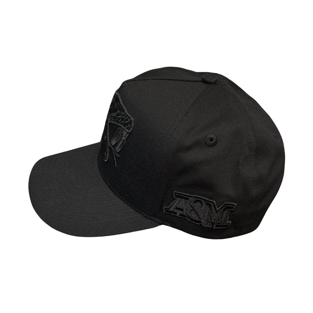 Florida A&M University (FAMU) HBCU 3D Embroidered Black on Black Cap Winters Industries