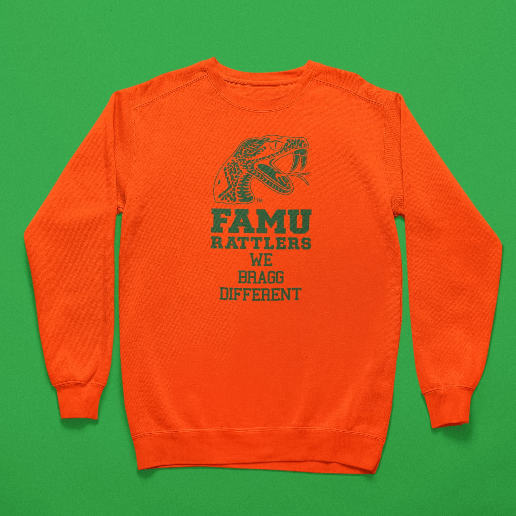 Florida A&M University HBCU Bragg Different Tee/Sweatshirt Winters Industries Small Sweatshirt