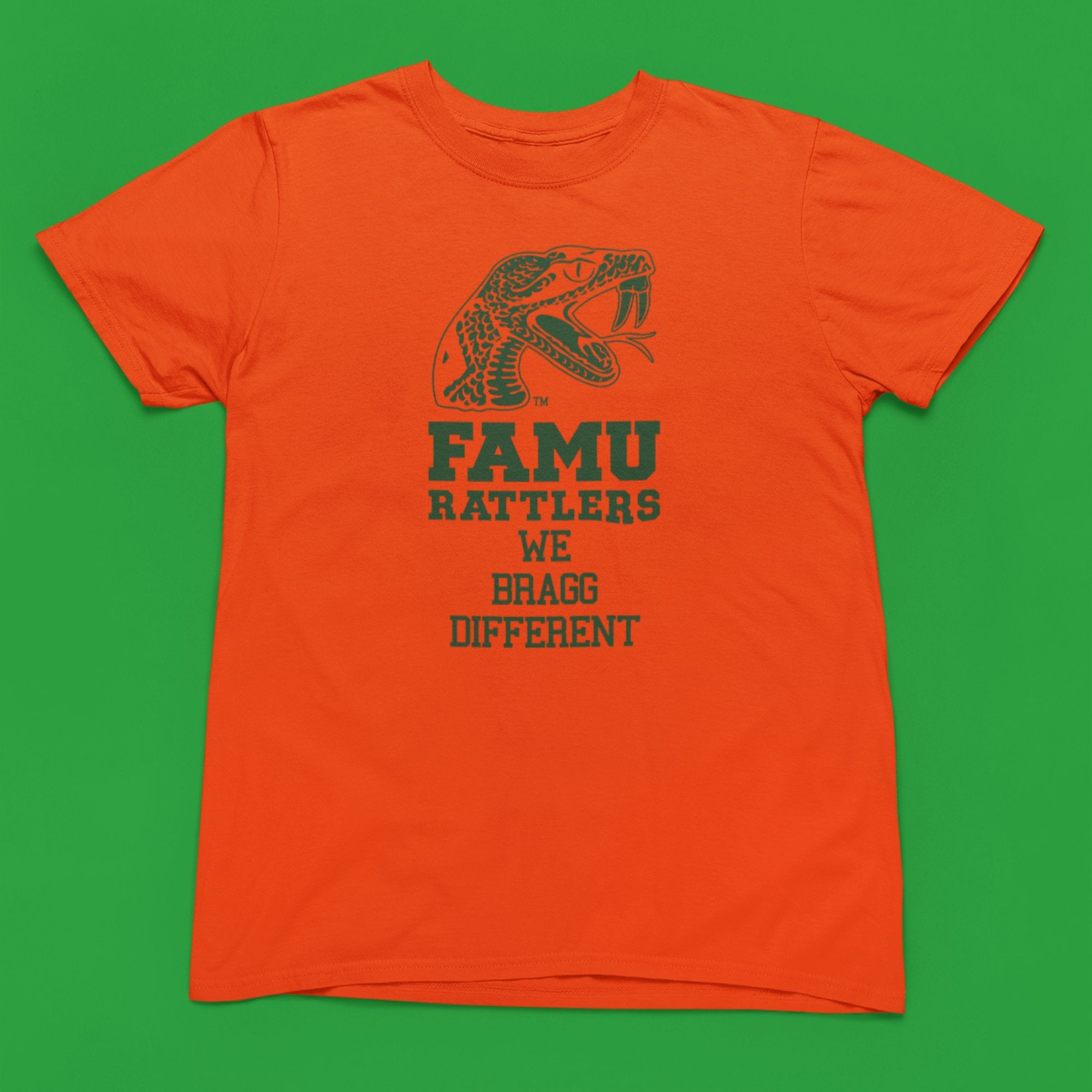 Florida A&M University HBCU Bragg Different Tee/Sweatshirt Winters Industries Small T-shirt