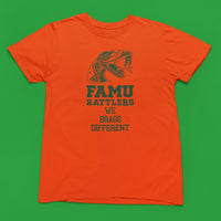 Florida A&M University HBCU Bragg Different Tee/Sweatshirt Winters Industries Small T-shirt