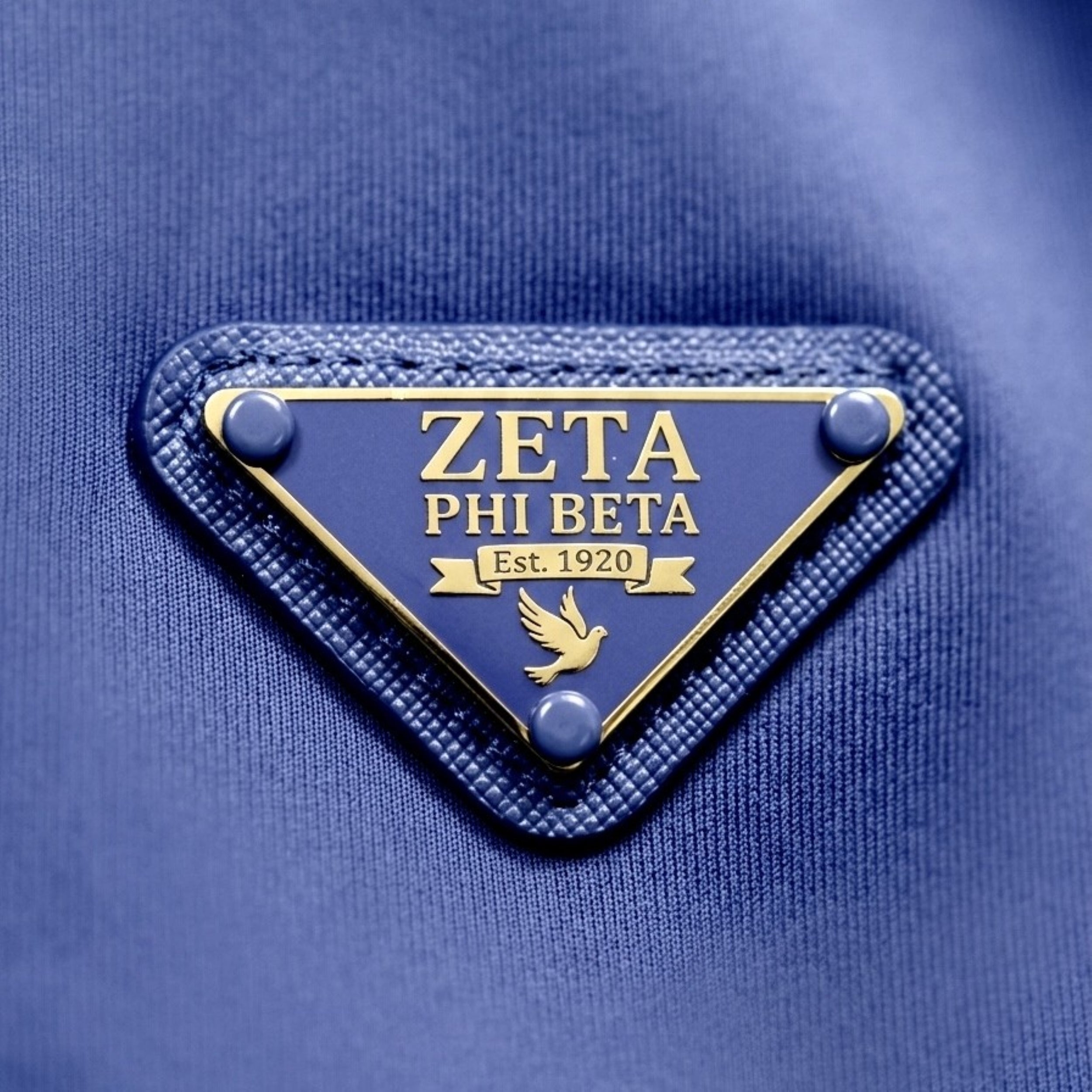 Zeta Phi Beta Blue and White Designer Tracksuit Winters Industries