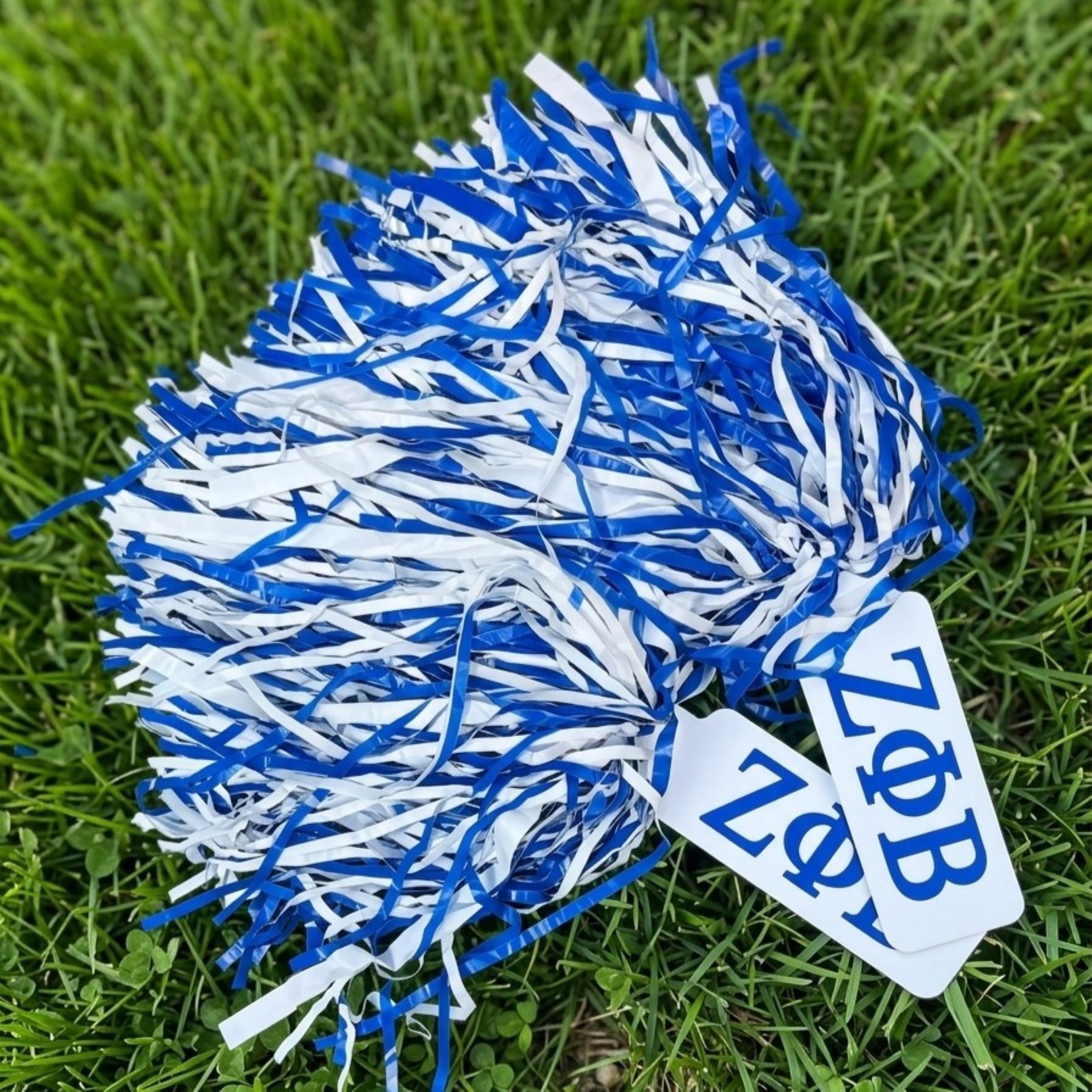 Zeta Phi Beta Blue and White Game Day Pom Poms