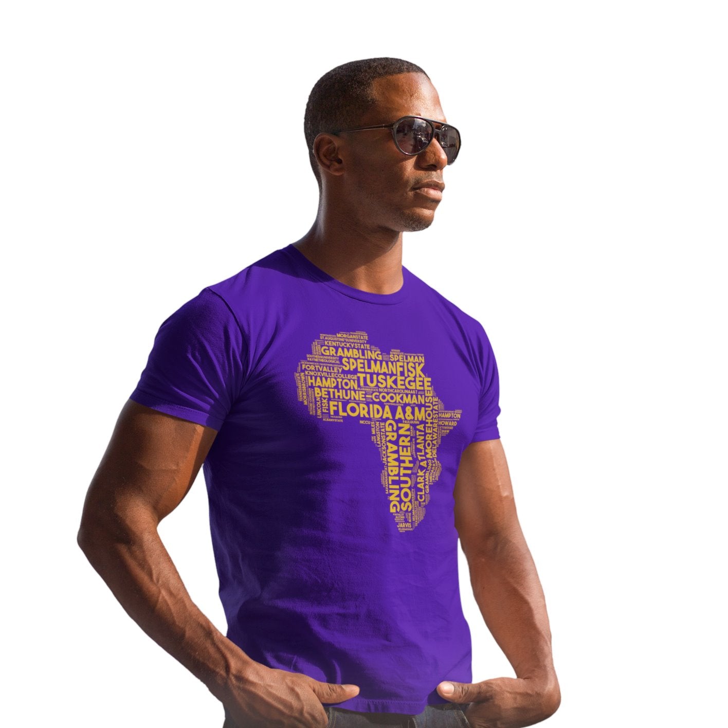 Omega Psi Phi HBCU "Fist / Africa" Collage Tee