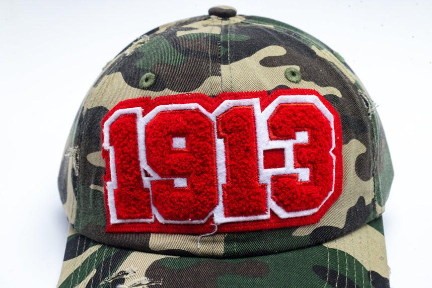 1913 Delta Sigma Theta Distressed Camo Chenille Cap