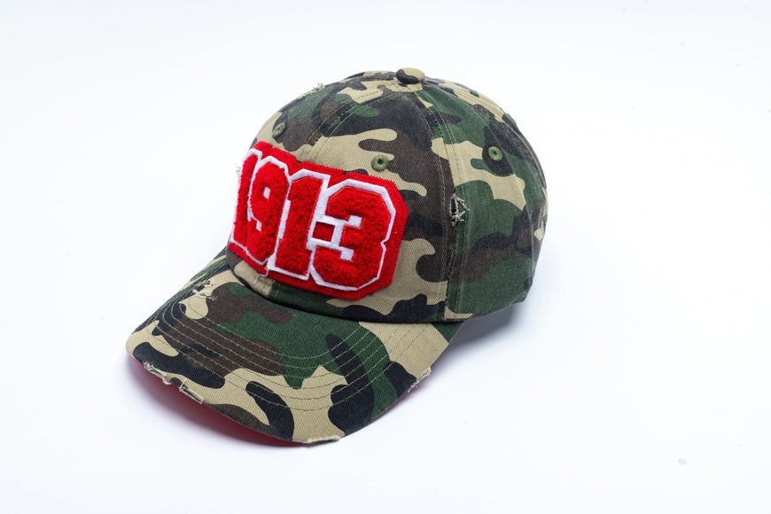 1913 Delta Sigma Theta Distressed Camo Chenille Cap