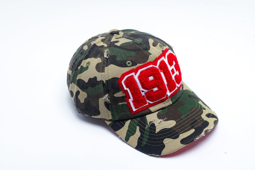 1913 Delta Sigma Theta Distressed Camo Chenille Cap