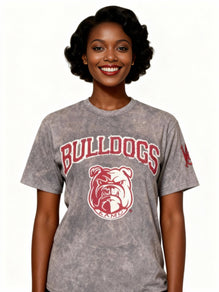 Alabama A&M Bulldogs HBCU Embroidered and Distressed Twill Tee