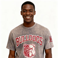 Alabama A&M Bulldogs HBCU Embroidered and Distressed Twill Tee Winters Industries 
