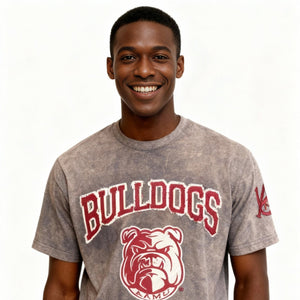 Alabama A&M Bulldogs HBCU Embroidered and Distressed Twill Tee Winters Industries 