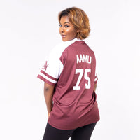 Alabama A&M University HBCU Sublimated Baseball Jersey