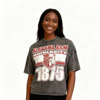 Alabama A&M University Oversized Acid Wash Box Tee Winters Industries 