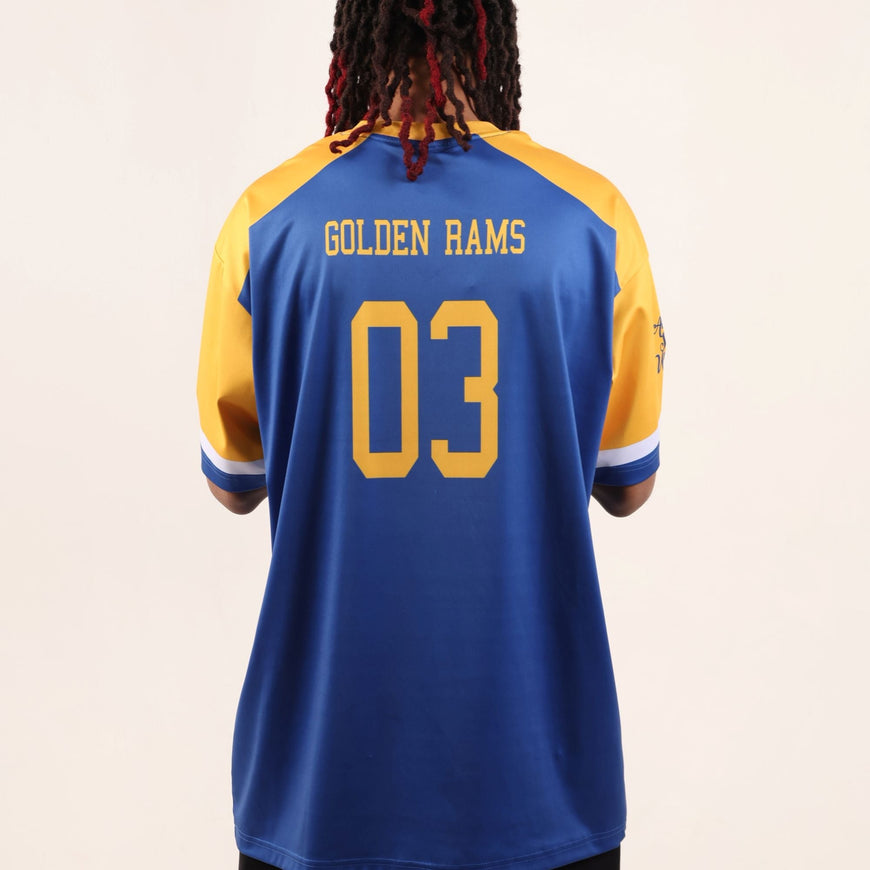 Albany State University HBCU Sublimated Baseball Jersey Winters Industries 
