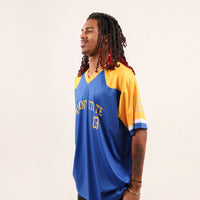 Albany State University HBCU Sublimated Baseball Jersey Winters Industries 