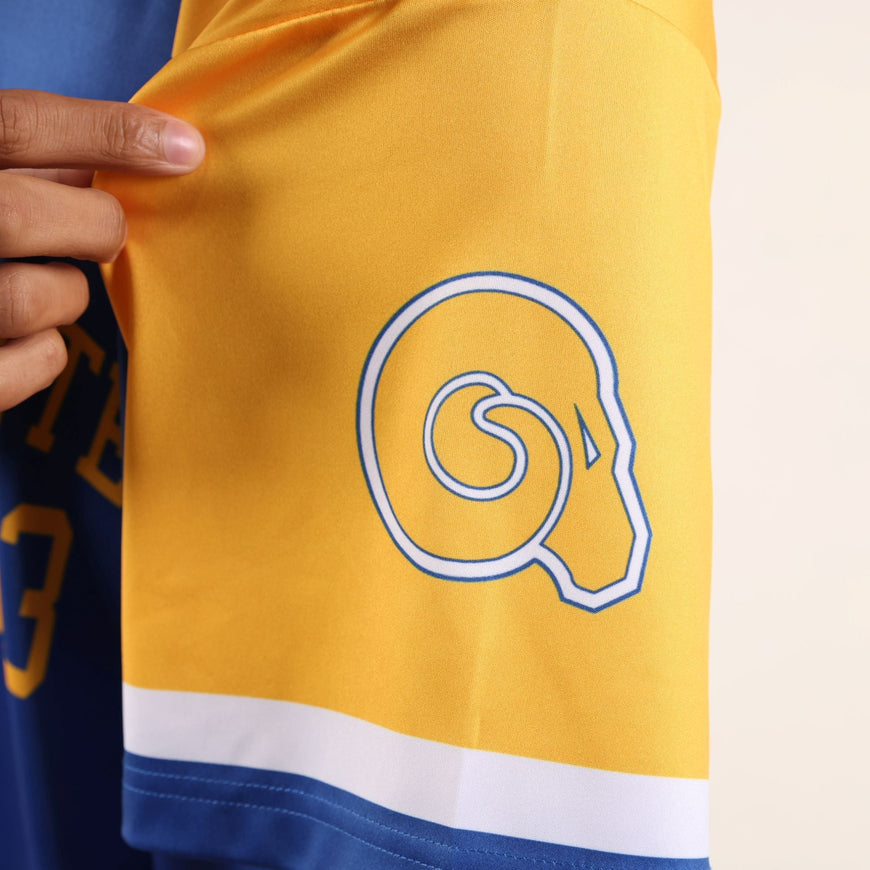 Albany State University HBCU Sublimated Baseball Jersey Winters Industries 