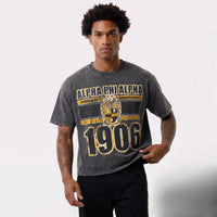 Alpha Phi Alpha Acid Wash Box Tee Winters Industries 