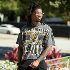 Alpha Phi Alpha Acid Wash Box Tee Winters Industries 