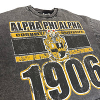 Alpha Phi Alpha Acid Wash Box Tee Winters Industries 
