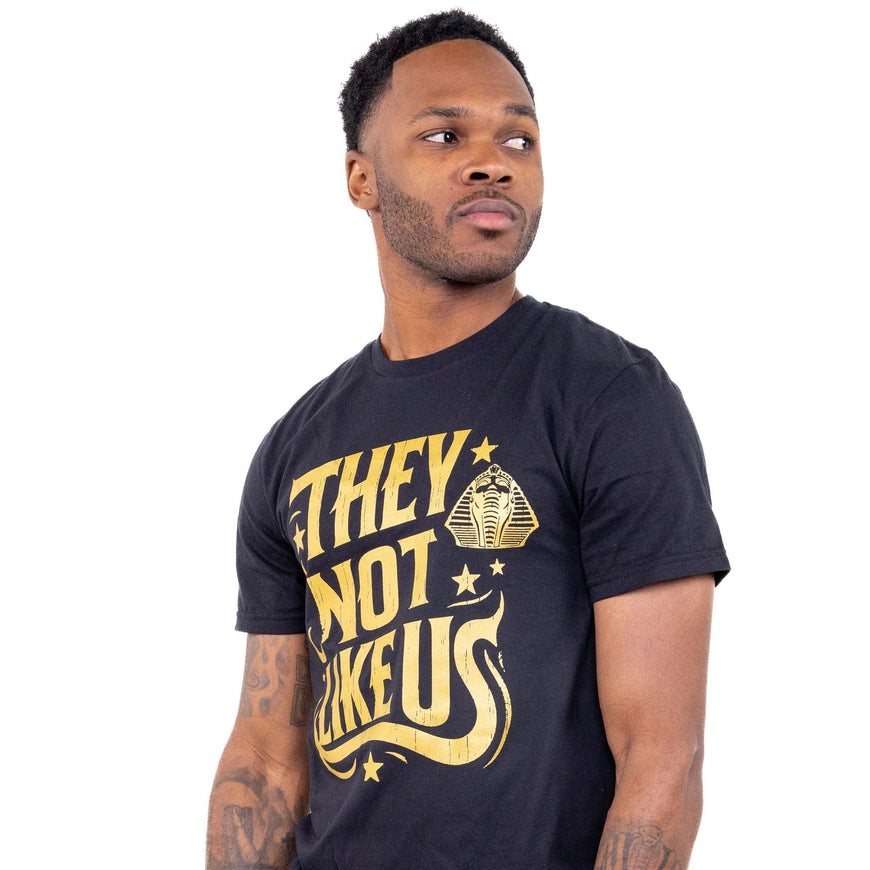 Alpha Phi Alpha 'They Not Like Us' Tee/Sweatshirt Winters Industries by Fully Promoted Mesquite 