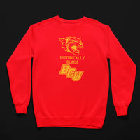 Bethune Cookman University HBCU BCU Wildcat Tee/Sweatshirt Winters Industries Small Sweatshirt 