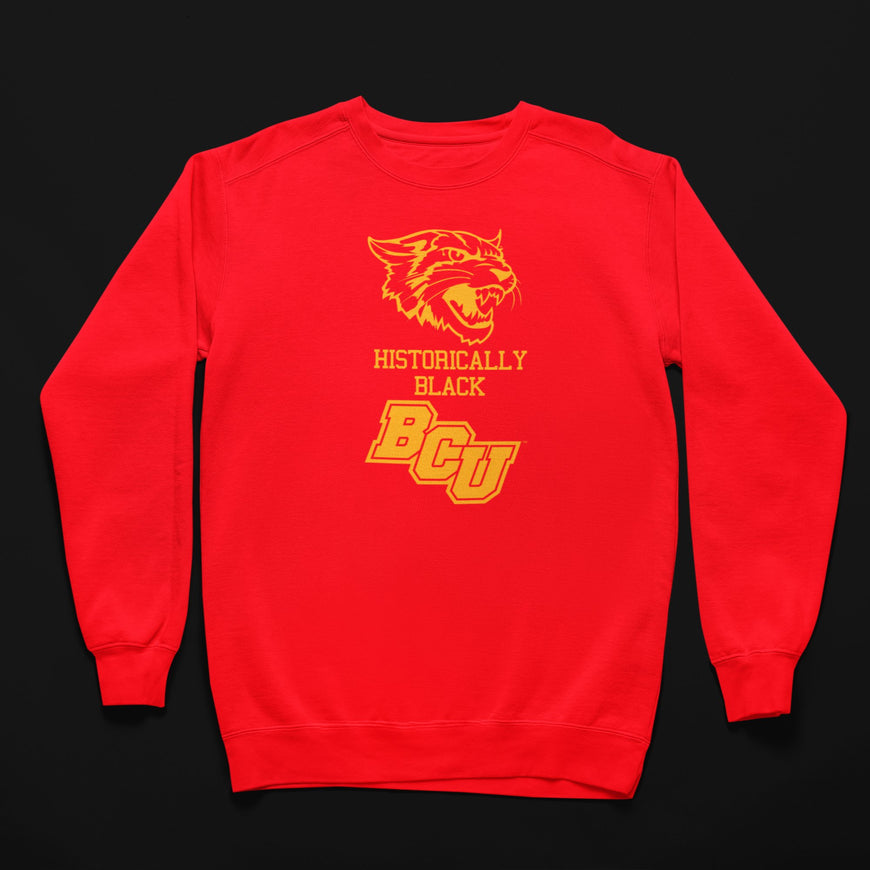 Bethune Cookman University HBCU BCU Wildcat Tee/Sweatshirt Winters Industries Small Sweatshirt 