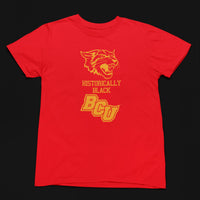 Bethune Cookman University HBCU BCU Wildcat Tee/Sweatshirt Winters Industries Small T-shirt 