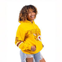 Bethune Cookman University HBCU Chenille Hoodie Winters Industries 