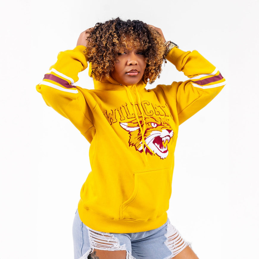 Bethune Cookman University HBCU Chenille Hoodie Winters Industries 