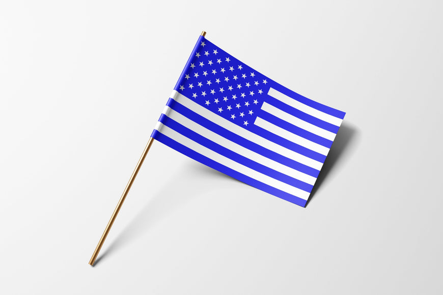 Blue and White handheld flag