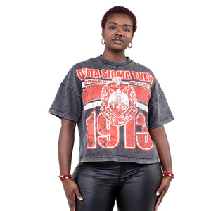 Delta Sigma Theta Oversized Acid Wash Box Tee Winters Industries 