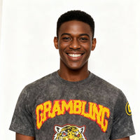 Grambling Tigers HBCU Embroidered and Distressed Twill Tee Winters Industries 