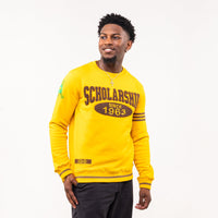 Iota Phi Theta "SCHOLARSHIP" Chenille Sweater Gold Winters Industries by Fully Promoted Mesquite 