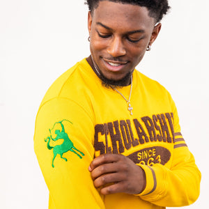 Iota Phi Theta "SCHOLARSHIP" Chenille Sweater Gold Winters Industries by Fully Promoted Mesquite 