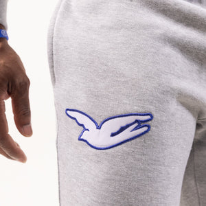 Phi Beta Sigma Embroidered /Chenille Tracksuit Winters Industries 