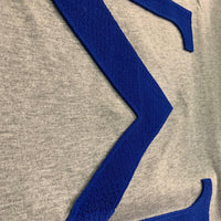 Phi Beta Sigma Letter Brush Embroidery Tee Winters Industries 