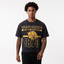 University of Arkansas at Pine Bluff (UAPB) Acid Wash Box Tee